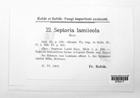 Septoria lamiicola image